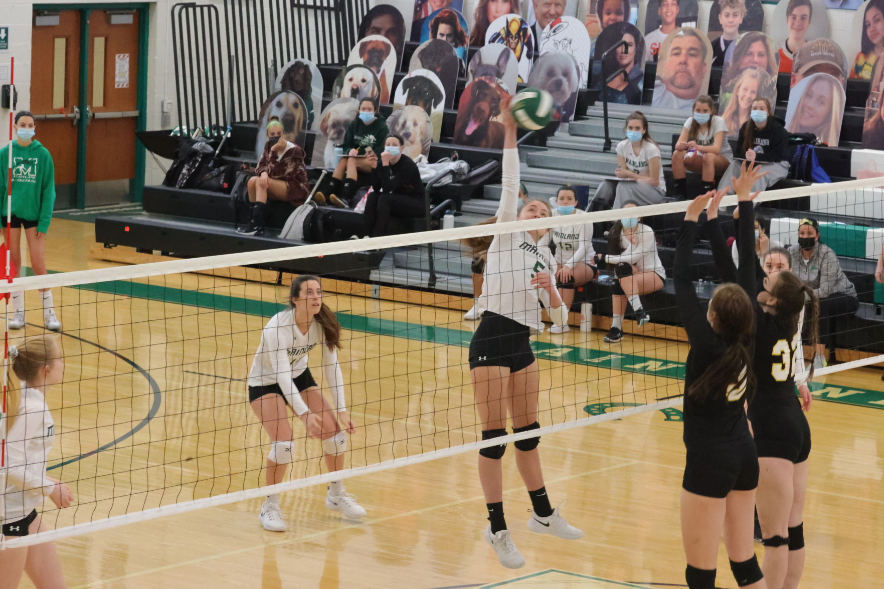 Mainland vs ACIT volleyball